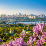 День Києва 2026: топ-10 подій, куди піти 30–31 травня